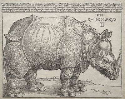 Nosorożec, 1515. autorstwa Albrecht Dürer
