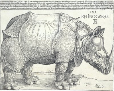 Nosorożec, 1515., 1515. autorstwa Albrecht Dürer