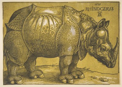 Nosorożec, po 1620 r. autorstwa Albrecht Dürer