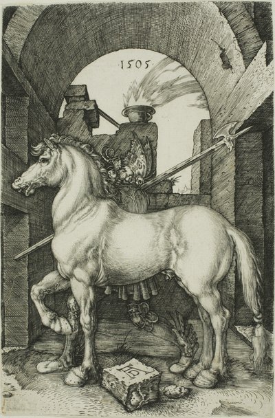 Mały Koń autorstwa Albrecht Dürer