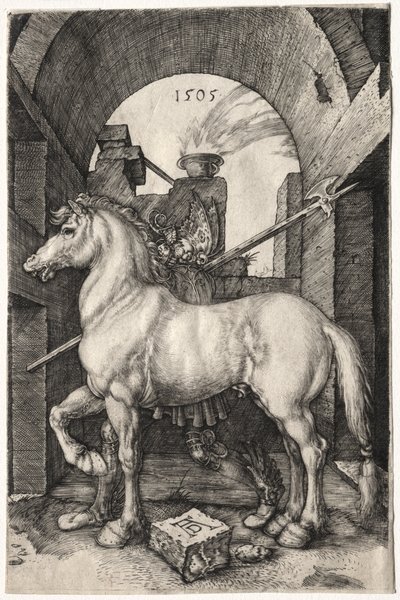 Mały Koń autorstwa Albrecht Dürer