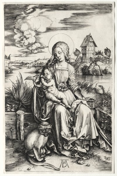 Dziewica i dziecko z małpą autorstwa Albrecht Dürer