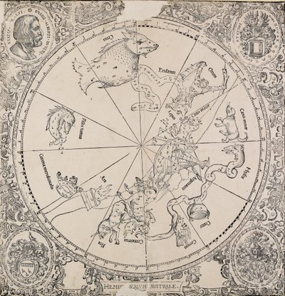 Mapa szkieletowa półkuli południowej, początek XVI wieku autorstwa Albrecht Dürer