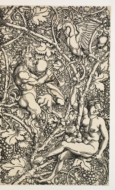 Dwa wzory na gobelin z satyrrodziną autorstwa Albrecht Dürer