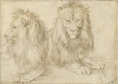 Dwa siedzące lwy, 1521 autorstwa Albrecht Dürer