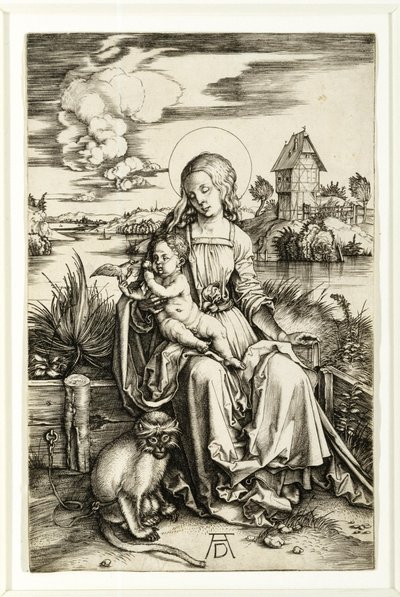 Dziewica i dziecko z małpą autorstwa Albrecht Dürer