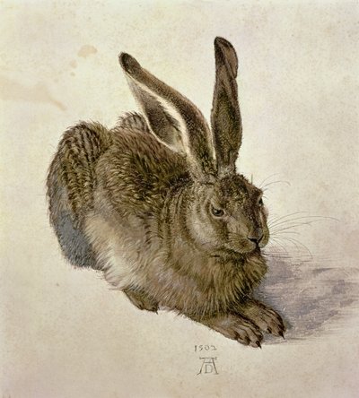 Залуу Хареполи autorstwa Albrecht Dürer