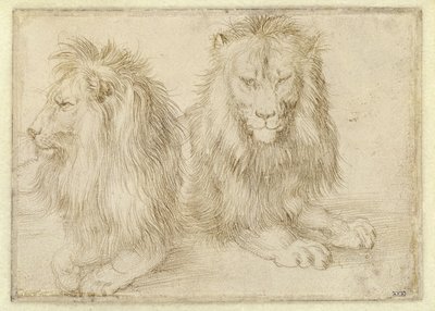  autorstwa Albrecht Dürer