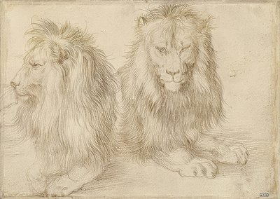 Dwa leżące lwy. 1521 autorstwa Albrecht Dürer