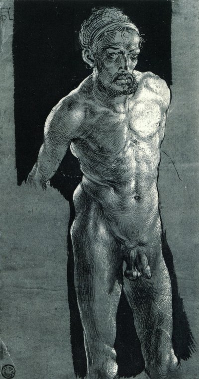 autoportret nago autorstwa Albrecht Dürer
