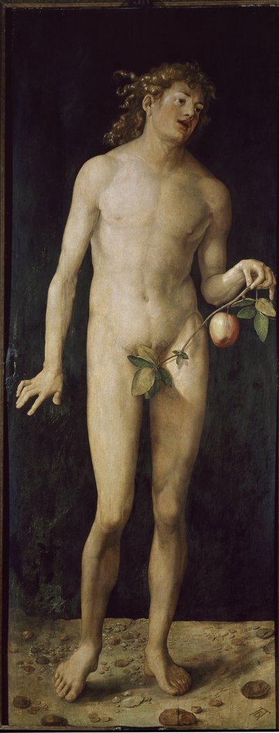 Adam (olej na drewnie autorstwa Albrecht Dürer