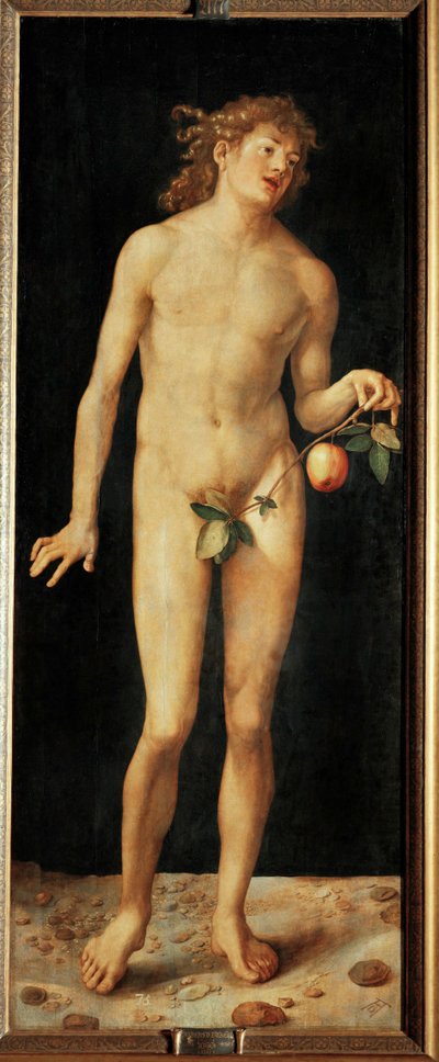 Adam autorstwa Albrecht Dürer or Duerer