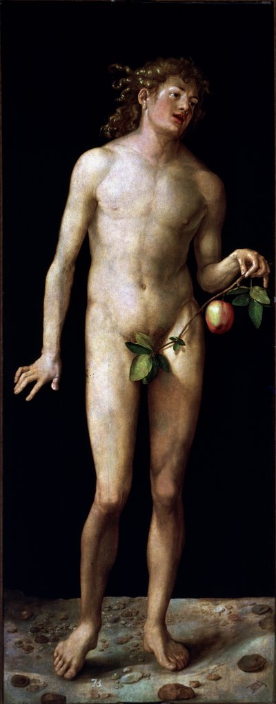  autorstwa Albrecht Dürer or Duerer