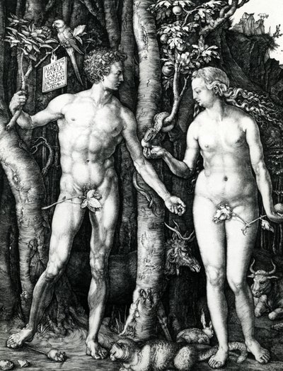 Adam i Ewa autorstwa Albrecht Dürer