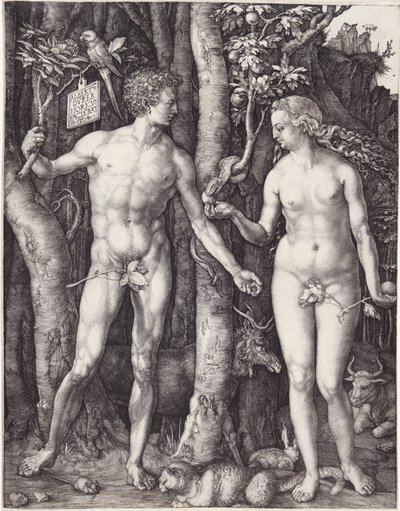 Adam i Ewa, wyd. 1504 (grawerowanie) autorstwa Albrecht Dürer