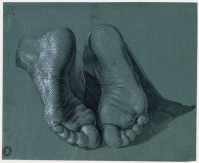 Etude de pieds - Study of Two Feet - Rysunek Albrechta Durera (1471-1528), akwarela, kolor biały, czarna kreda na papierze, c1508 (17,6x21,6cm) - Museum Boijmans Van Beuningen, Rotterdam autorstwa Albrecht Dürer