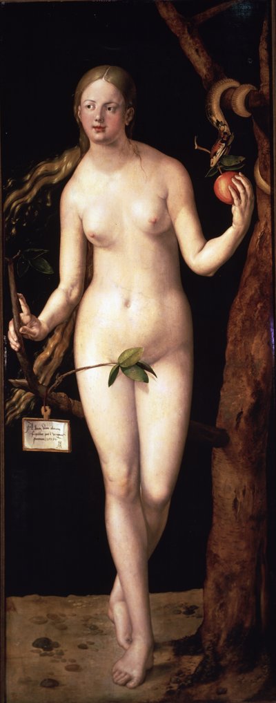  autorstwa Albrecht Dürer or Duerer