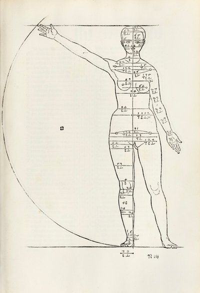 Drzeworyt kobiecy anatomiczny z "Herin to cztery księgi o proporcjach ludzkich" autorstwa Albrecht Dürer