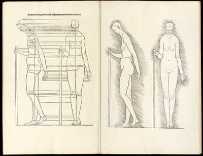 Kobieta z laską, drzeworyt anatomiczny z Herein zawiera cztery księgi o proporcjach ludzkich, 1528 autorstwa Albrecht Dürer