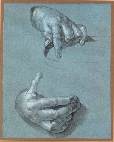 Ręce - Dwa studia (rysunek kredą na niebieskim papierze) autorstwa Albrecht Dürer or Duerer