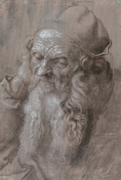 Głowa starego człowieka autorstwa Albrecht Dürer
