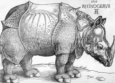 Nosorożec autorstwa Albrecht Dürer