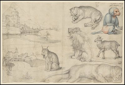 Szkice zwierząt i krajobrazów, 1521 autorstwa Albrecht Dürer