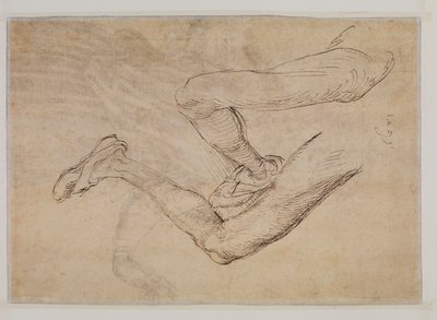 Badanie lewej nogi z dwóch punktów widzenia autorstwa Albrecht Dürer