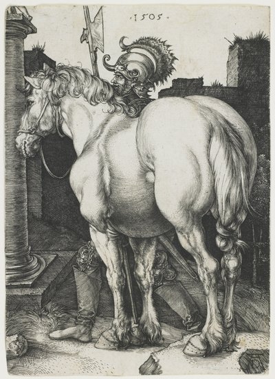 Wielki Koń autorstwa Albrecht Dürer