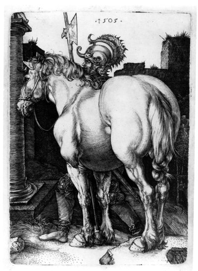 Duży koń, 1509 autorstwa Albrecht Dürer
