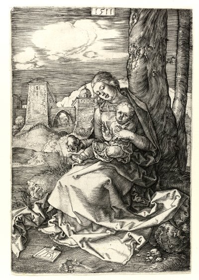 Madonna z gruszką autorstwa Albrecht Dürer