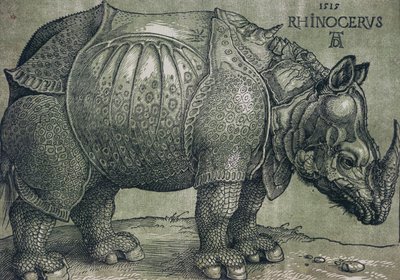 Nosorożec, 1515 autorstwa Albrecht Dürer