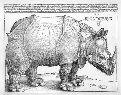 Nosorożec, 1515 autorstwa Albrecht Dürer