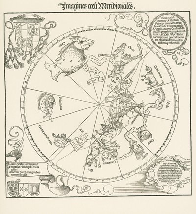 Południowa półkula globu niebieskiego autorstwa Albrecht Dürer or Duerer