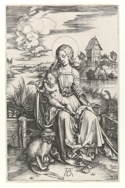 Dziewica z małpą, c.1498 (Grawerowanie Burina) autorstwa Albrecht Dürer