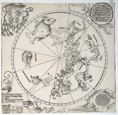 Nieznany obraz autorstwa Albrecht Dürer