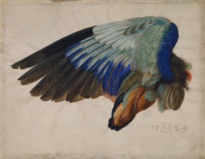 Skrzydło Europejskiego Walca autorstwa Albrecht Dürer