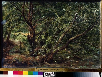 "Drzewa nad rzeką" Obraz Aleksandra Iwanowa (1806-1858) 1837 Państwowe Muzeum Rosyjskie, Sankt Petersburg autorstwa Aleksandr Andreevich Ivanov