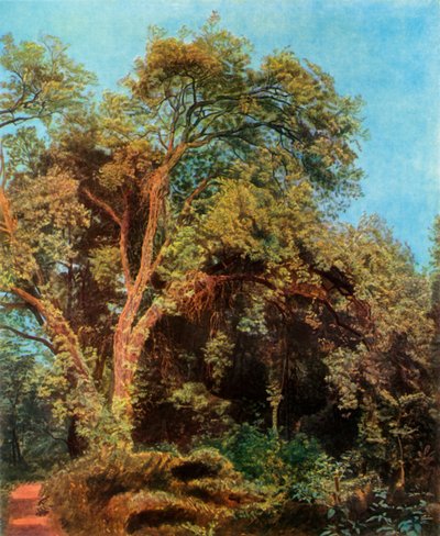 Drzewo w parku, połowa XIX wieku, 1965. autorstwa Aleksandr Ivanov