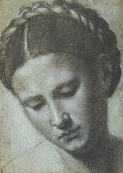 Głowa kobiety ze splecionymi włosami (węgiel i biała kreda na carta azzura) autorstwa Alessandro Bonvicino Moretto