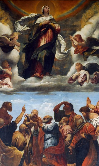 Wniebowzięcie Ołtarza (olej na drewnie) autorstwa Alessandro Bonvicino Moretto