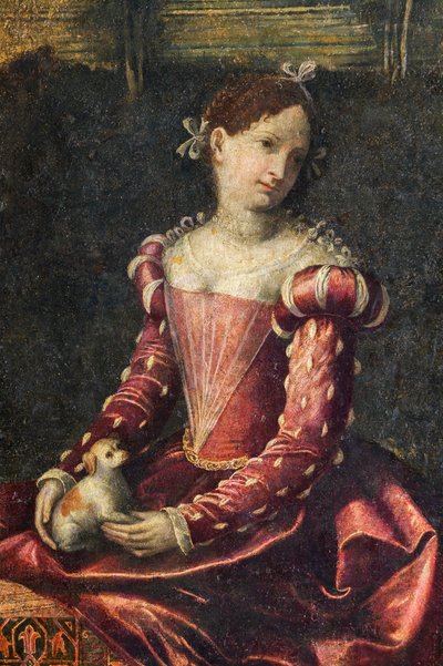 Portret szlachcianki, detal Małej Sali Szlachetnych Dam (olej na płótnie przyklejony do ścian) autorstwa Alessandro Bonvicino Moretto
