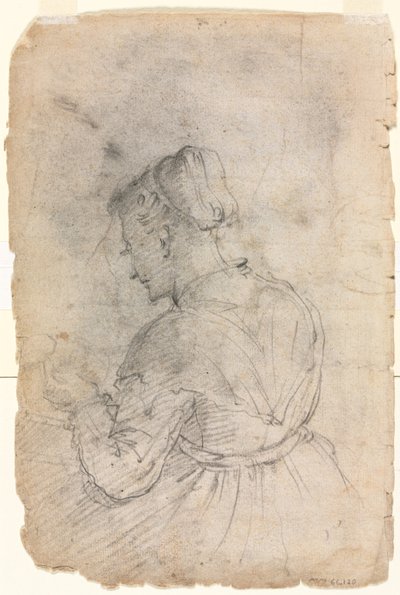 Pokojówka kuchenna (verso) autorstwa Alessandro Casolani