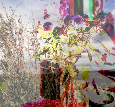 martwa natura,2019,(kolaż) autorstwa Alex Caminker