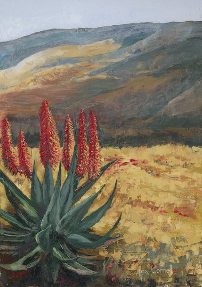 Czerwony aloes „Desert Bloom” autorstwa Alex Cornell