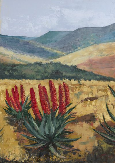 Czerwony Aloes na zboczu autorstwa Alex Cornell