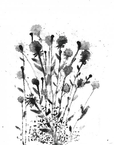 Abstrakcyjne plamy atramentu autorstwa Alex Walsh