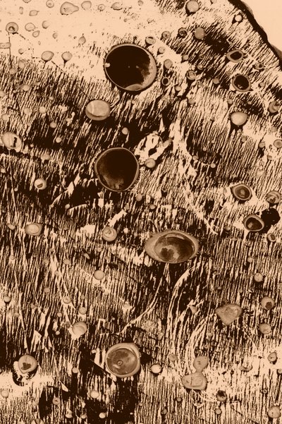 Tlen autorstwa Alexander Adiels