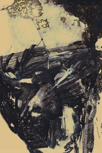 Polar autorstwa Alexander Adiels