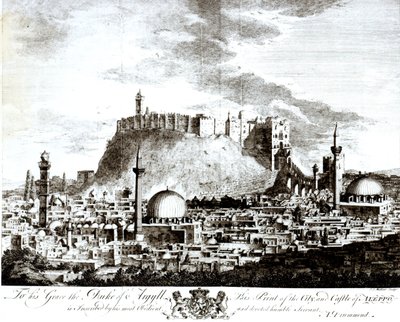 Widok miasta i zamku Aleppo, Syria, 1754 autorstwa Alexander Drummond